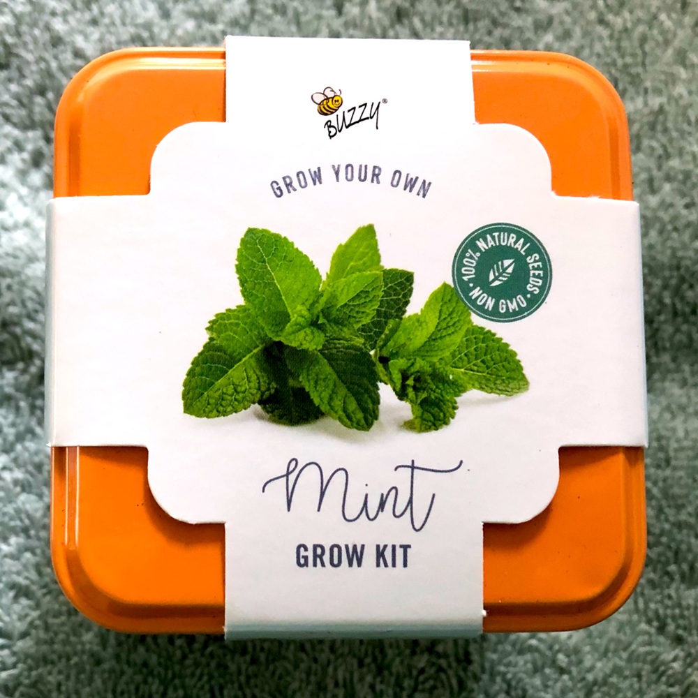 Buzzy Grow Your Own Mint Kit in decorative tin